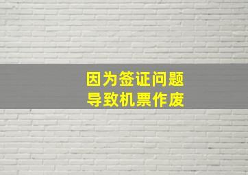 因为签证问题 导致机票作废